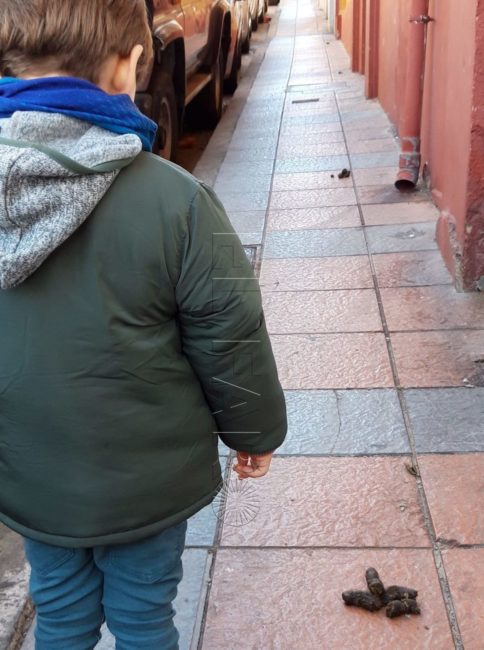 750 euros como mínimo: las multas a los ‘animales de dos patas’ por no recoger los excrementos de sus mascotas