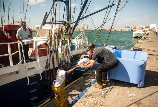 La Eurocámara aprueba un nuevo acuerdo pesquero con Marruecos