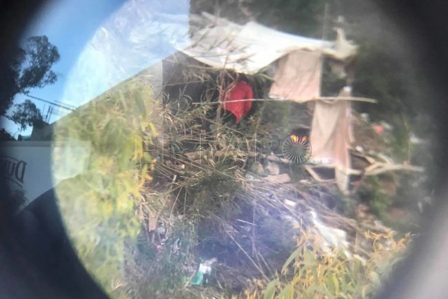 Riesgo en los montes de Ceuta: chabolas entre arboledas e incendios a plena luz del día