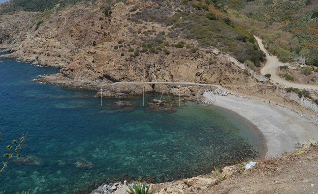 cala-desnarigado