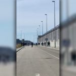 pelea-puerto-10
