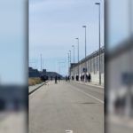 pelea-puerto-11
