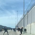 pelea-puerto-16