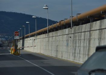 muelle-alfau