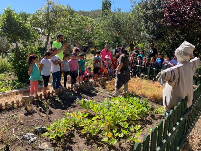 Educación ambiental: a la búsqueda del compromiso y la conciencia