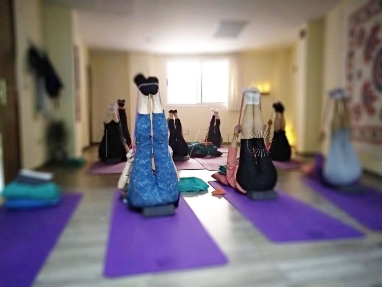 yoga-todos
