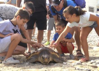 CECAM-tortuga-18