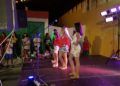 fiesta-san-amaro-3