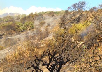hidroavion-incendio-forestal-8