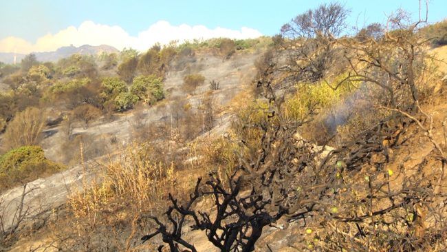 Medio Ambiente prohíbe hacer fuego del 1 de junio al 2 de noviembre