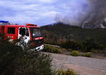 incendio-monte-tortuga-2015