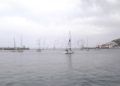 regata11