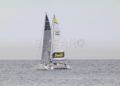 regata8