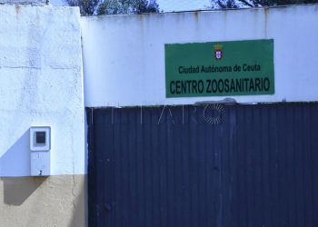 promesa-no-creemos-centro-zoosanitario