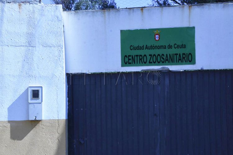 promesa-no-creemos-centro-zoosanitario