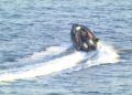 operacion-guardia-civil-narco-sarchal-23