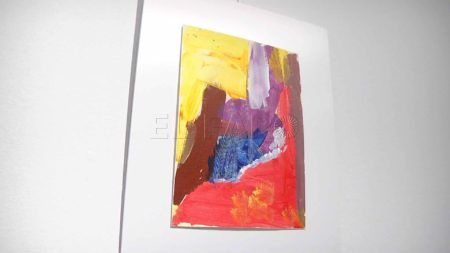 proi-exposicion