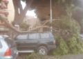 arbol-caida-coche-avenida-africa