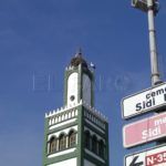 ciguenas-sidi-embarek-6