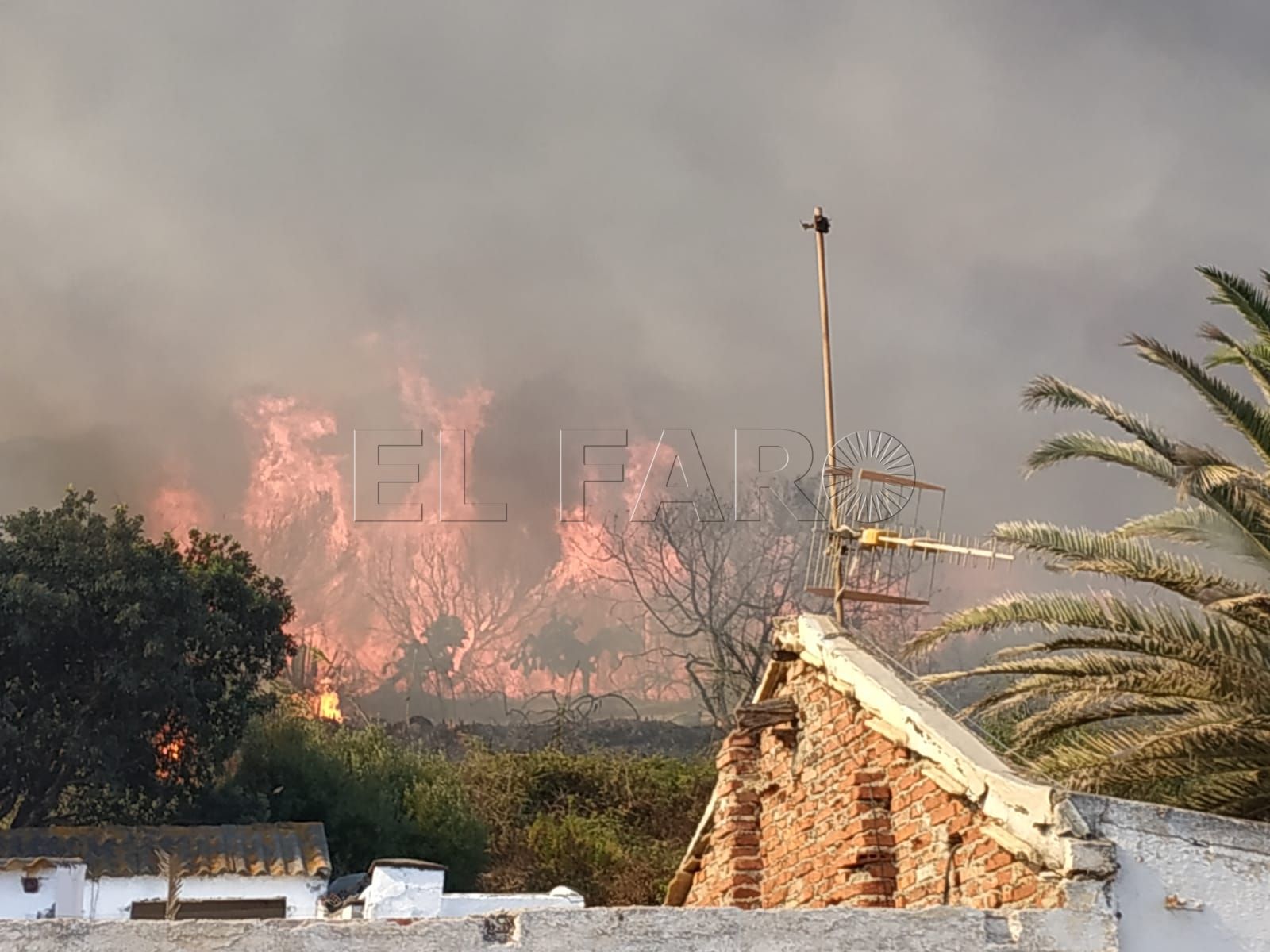 Nuevo incendio en el Arroyo de Calamocarro, el segundo en un mes