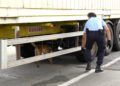 operacion-minerva-76