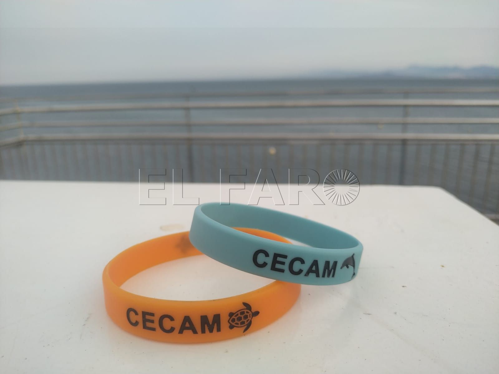 pulseras-cecam-2
