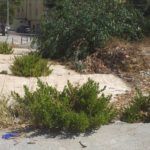 tejar-ingenieros-basura