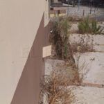 tejar-ingenieros-basura