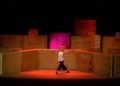 ludo-circus-show