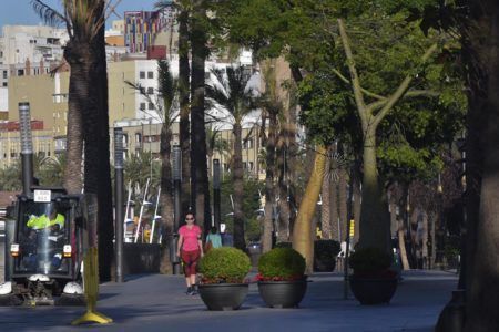 paseo-palmeras