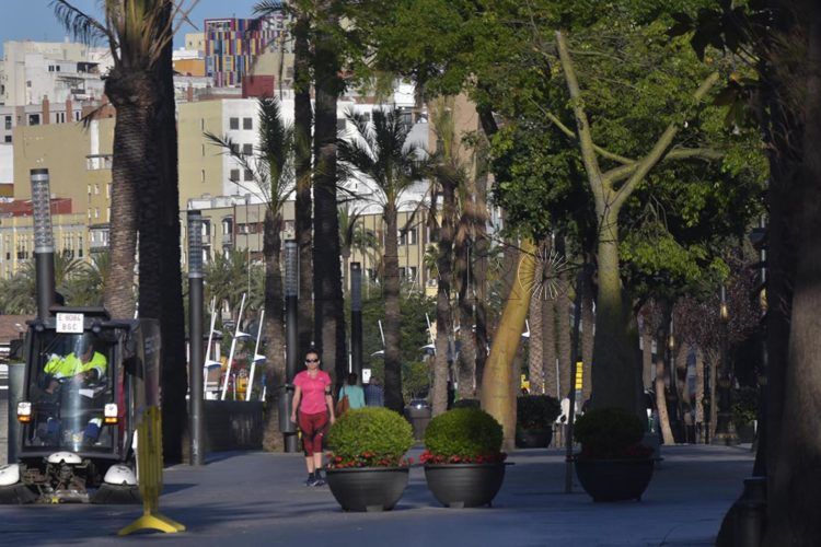 paseo-palmeras