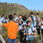 aves-arroyo-calamocarro
