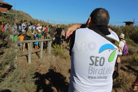 aves-arroyo-calamocarro