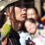 aves-arroyo-calamocarro