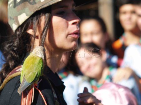 aves-arroyo-calamocarro