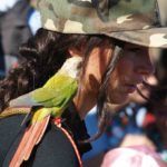 aves-arroyo-calamocarro