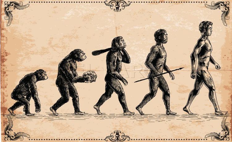benedicto-evolucion