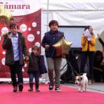 pasarela-niños-comercio