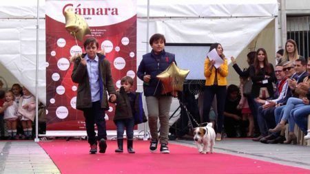 pasarela-niños-comercio