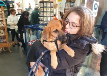 adopciones-perrera-1