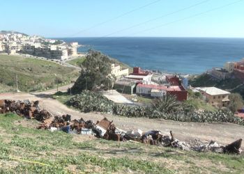 Plan-Ecológico