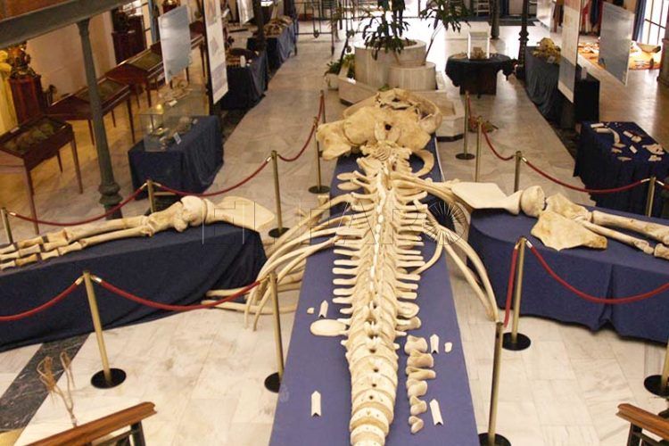 museo-mar