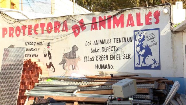 La dejación con los animales