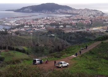 reforestacion-obimasa-6