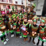 cabalgata-carnaval-2020-25