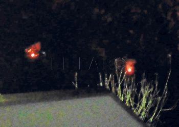 incendios-cocinar-chabolas-ceti-1