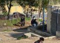 policia-operacion-busqueda-armas-2