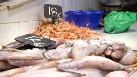 Pescado-4