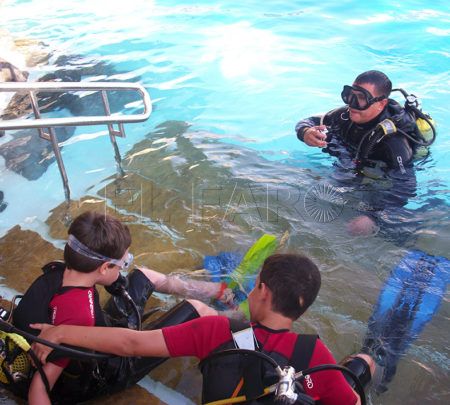 buceo