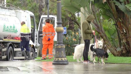 perros-coronavirus-limpieza